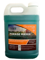 Product - Forage Maxxx